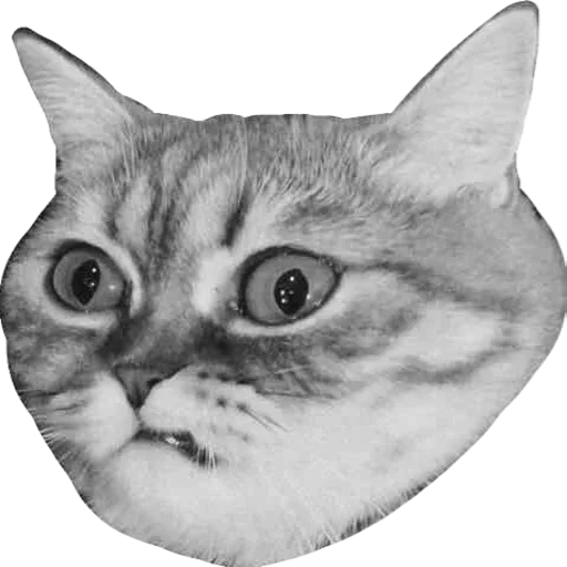 Sticker smallthingbutnice - 1