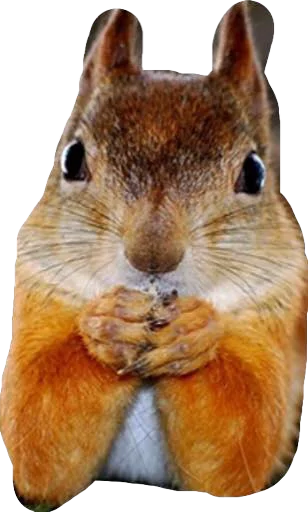 Sticker Smetana TV - 11