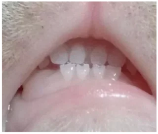 Стикер солянка by @smexlxrd - 3