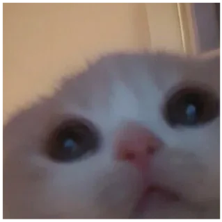 Стикер солянка by @smexlxrd - 7