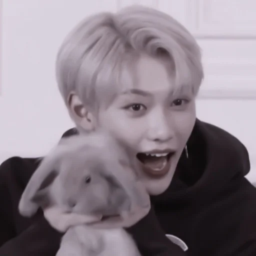 Человек человеческое лицо комнатный