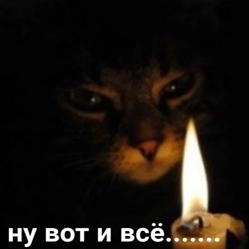 кошка свеча кошки малого и среднего размера