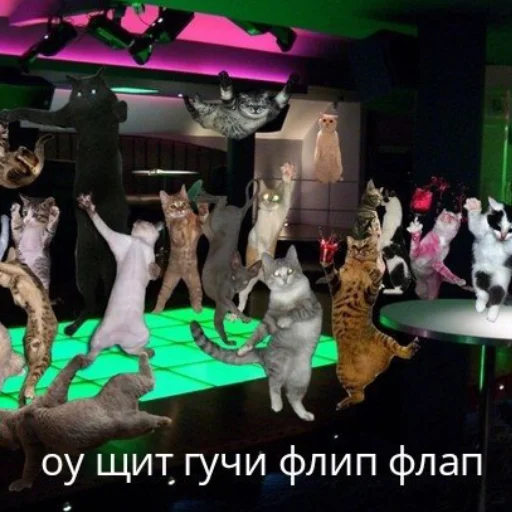 комнатный танцевать меховой