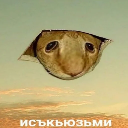 СМС рыба живопись