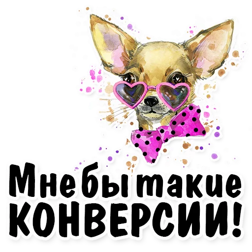 СМС собака животное