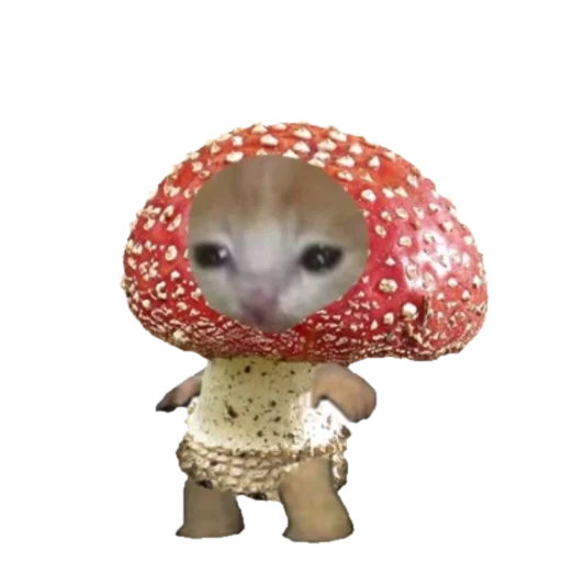 Sticker smol_okichuuu - 1