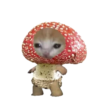 Sticker smol okichuuu - 7