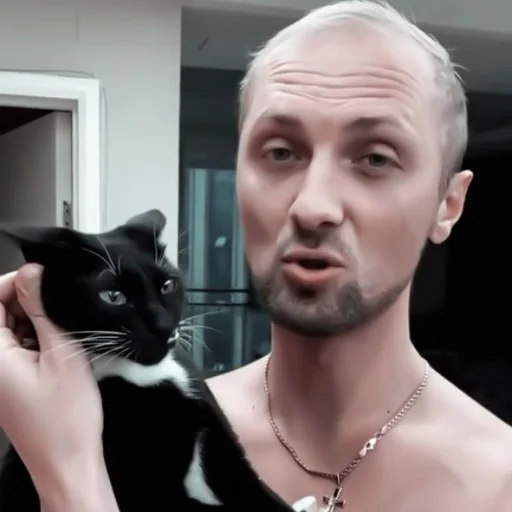 person indoor small to medium-sized cats