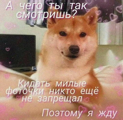 животное СМС млекопитающее