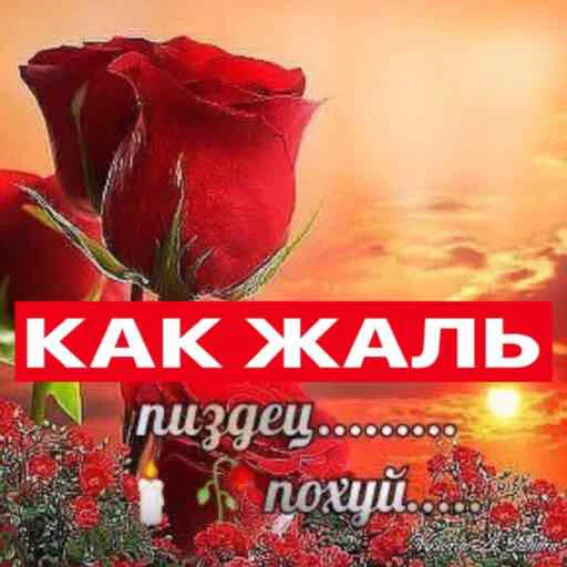 Sticker snake rave - 5