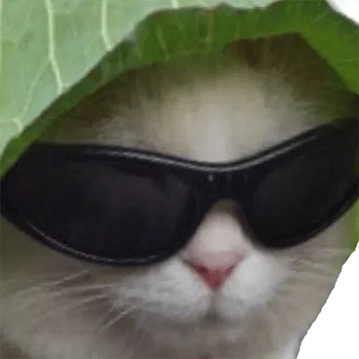 Sticker Nelzya 3 @ne_sirozhka by @fStikBot - 4