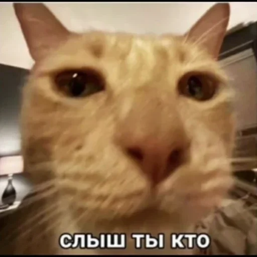 Sticker Nelzya 3 @ne_sirozhka by @fStikBot - 0