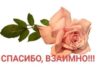 Sticker Всратые стикерочки СанДРОЧКИ 2.0🤩 - 5