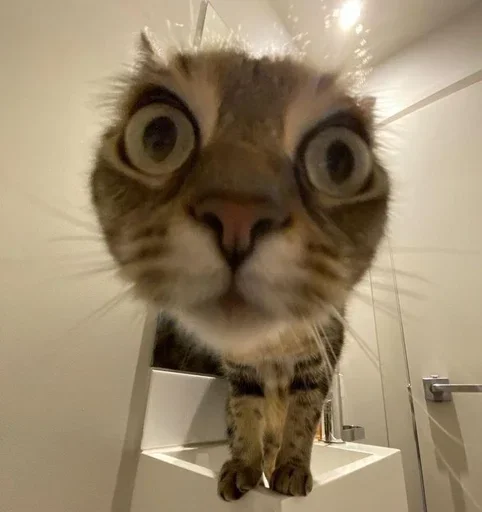 Больше стиков тут: @stikery4 - 