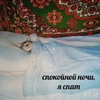 Стикер Больше стиков тут: @stikery4 - 1