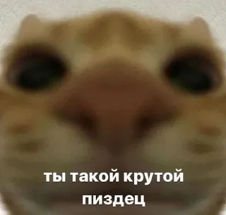 Стикер Больше стиков тут: @stikery4 - 3