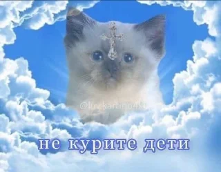 Стикер Больше стиков тут: @stikery4 - 6