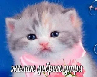 Стикер Больше стиков тут: @stikery4 - 5