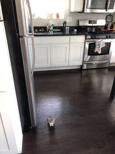 indoor kitchen cabinet