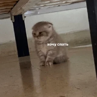 Стикер slllozhno stickers - 3