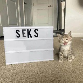 Стикер slllozhno stickers - 6