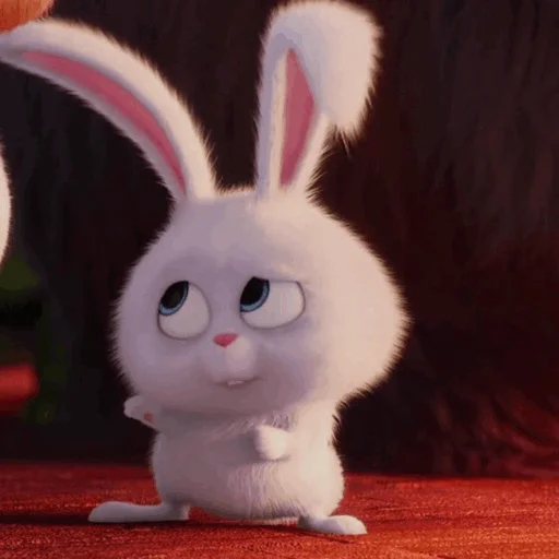 bunny animal rabbits and hares