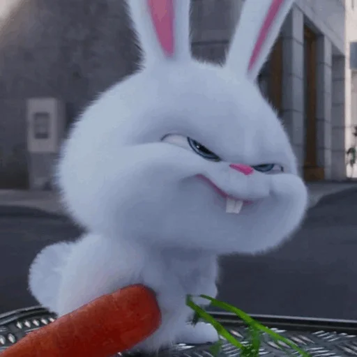 bunny carrot rabbits and hares