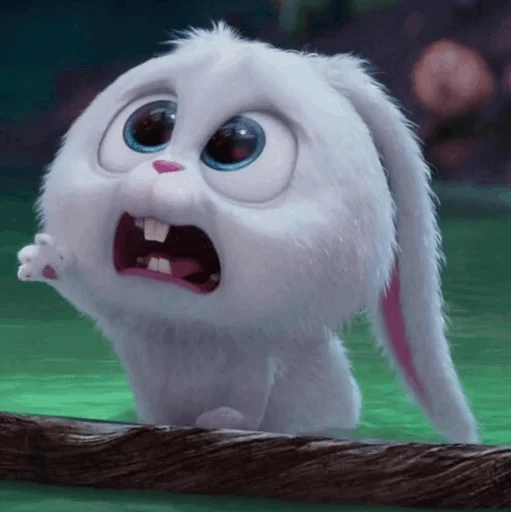 mammal cartoon smile