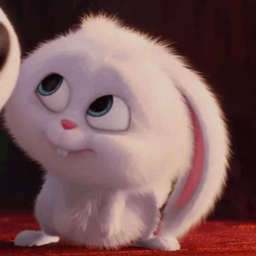 fur small to medium-sized cats animal