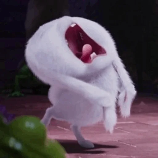 animal ground outdoor