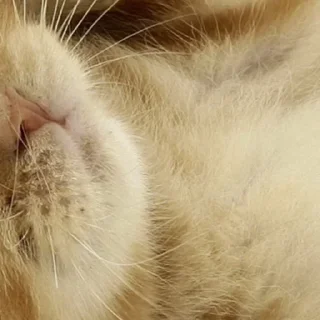 Sticker стики тут 👉@aesthetic2k17 - 2