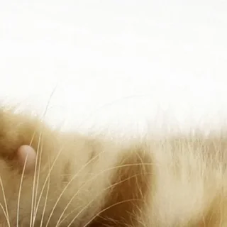 Sticker стики тут 👉@aesthetic2k17 - 0