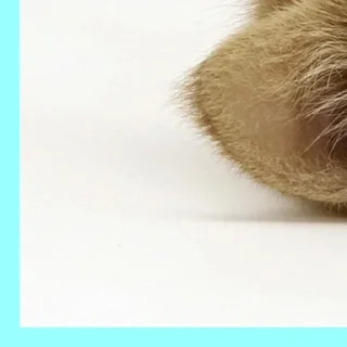 Sticker стики тут 👉@aesthetic2k17 - 5