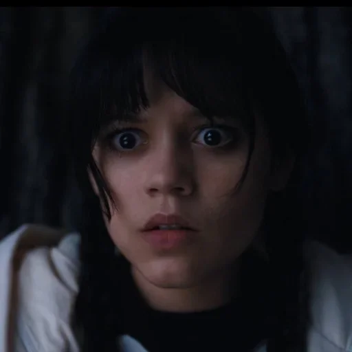 Sticker snowpalmswednesday - 1