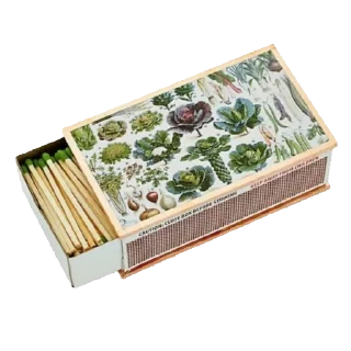 Sticker ໒ ꒱ 🥬 @snowwsticks ✦. - 5