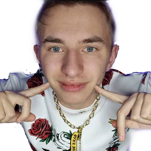 Стикер снюс хаус - 8