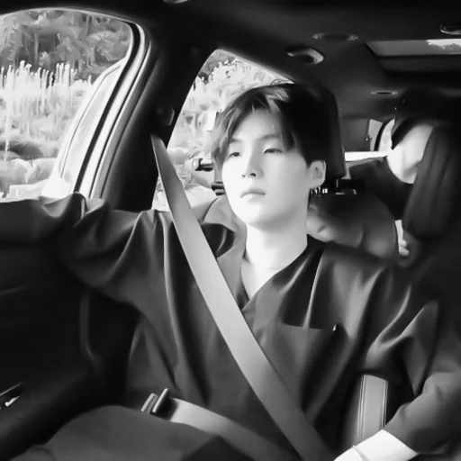 Человек автомобиль транспортное средство