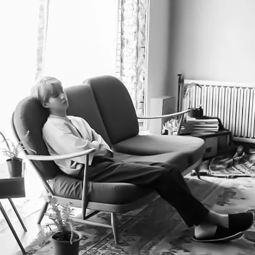 комнатный мебель черно-белый