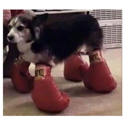 Sticker sobachki_av - 1