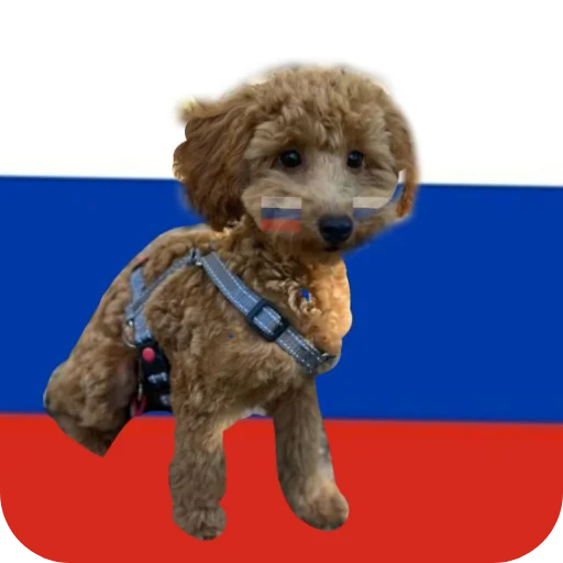 Sticker sobaka4689 - 1