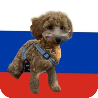 Стикер собака - 0