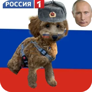 Стикер собака - 3