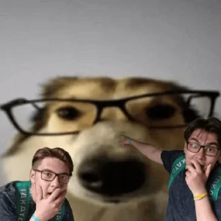 Sticker Собака в очках - 1