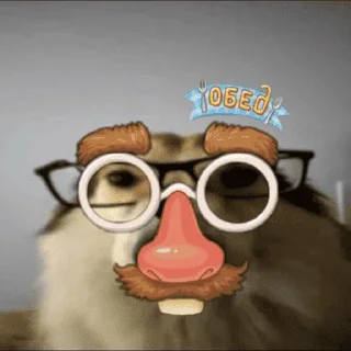 Sticker Собака в очках - 3