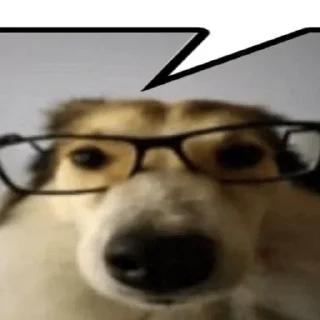 Sticker Собака в очках - 2