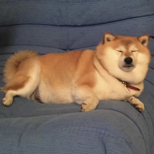 Стикер sobas - 1