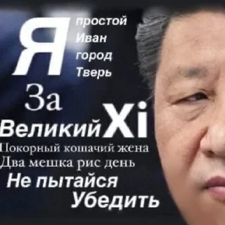 Sticker Social Credit大玉轴 习近平 - 7