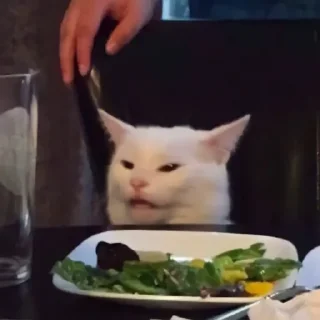 Sticker Join here @MemePack4K - 11