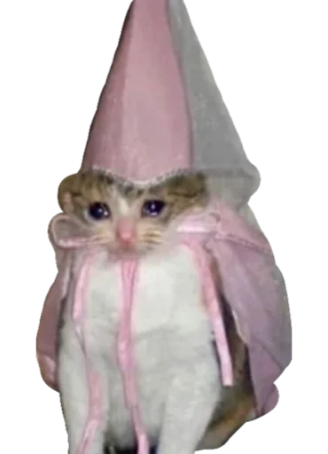 кошка шляпа розовый