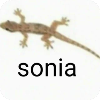 Sticker соня всегда права - 7